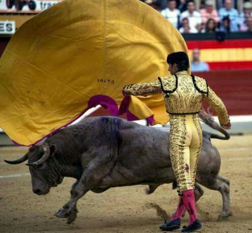 27a34f72656be280e068f7a86897e68e