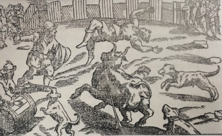 argoteIMG_9105-455×280