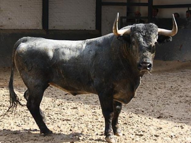 9336b41ff76061ac4f95902536de29a0-2