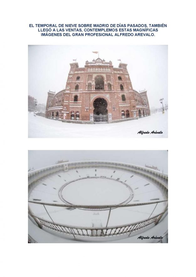 FTCM BOLETIN 51-page-006