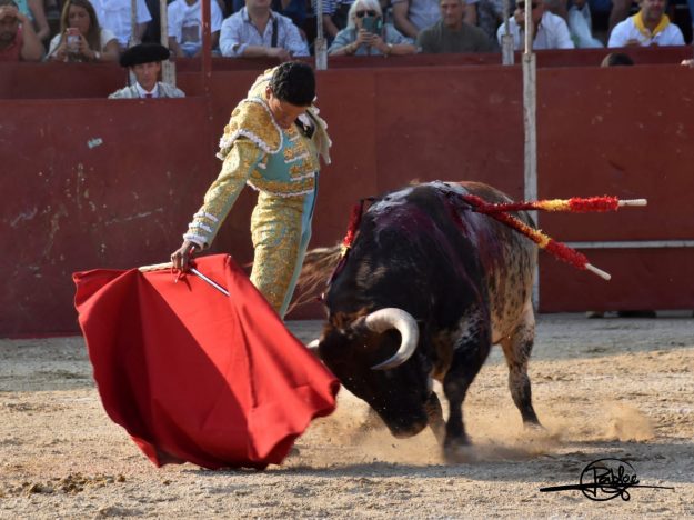TOROS 3_0