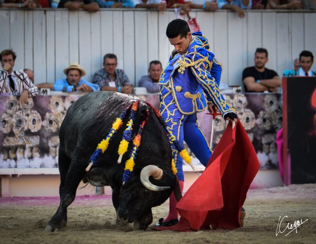 ALEJANDRO TALAVANTE ARLES 2021 1.1
