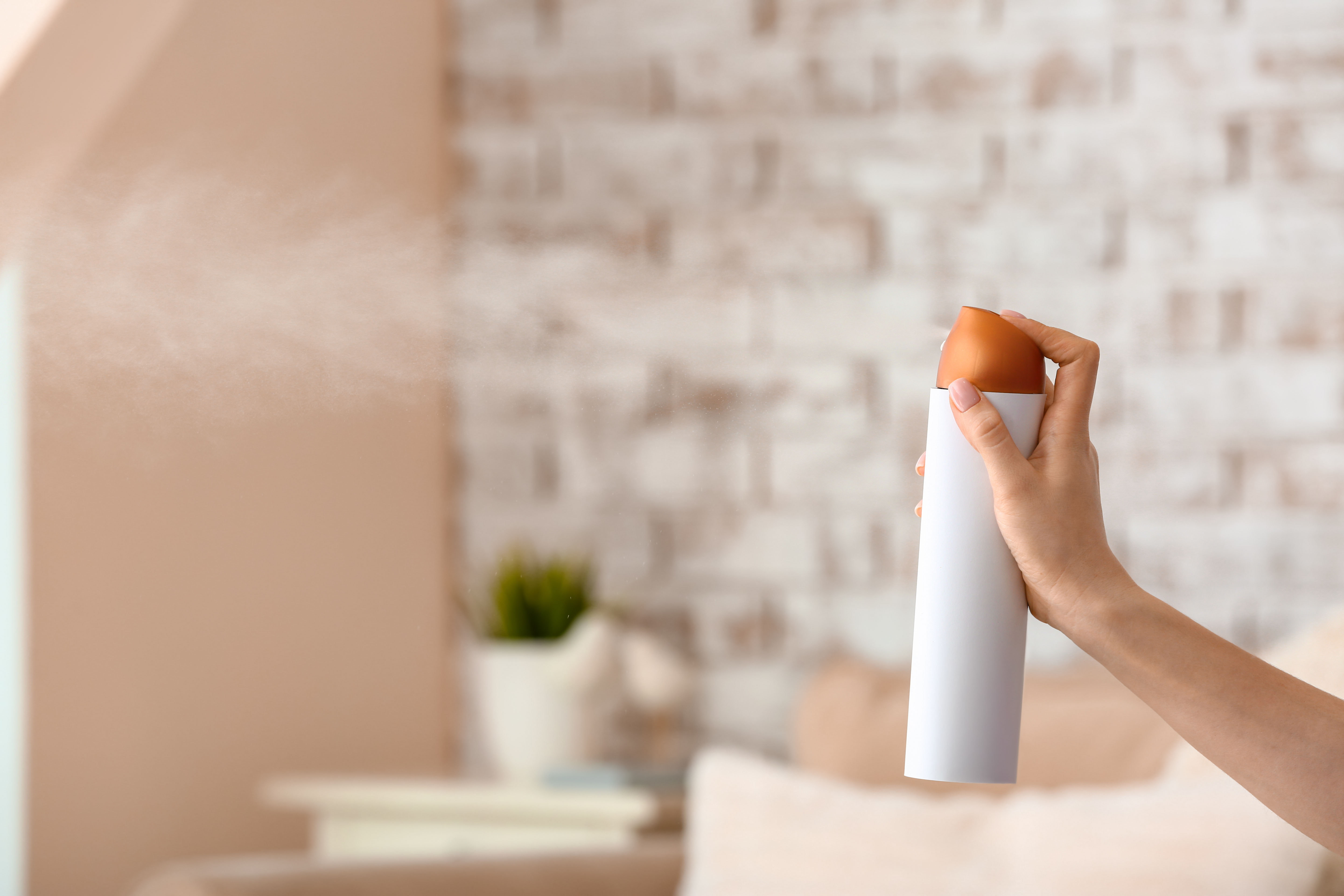 Woman spraying air freshener in room