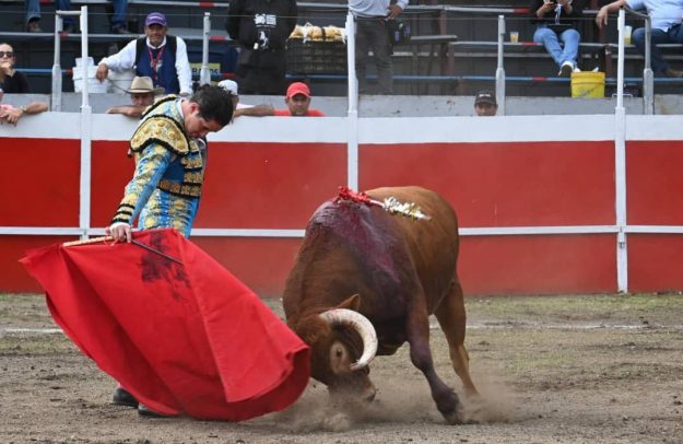 WhatsApp Image 2025-05-12 at 10.14.57 AM